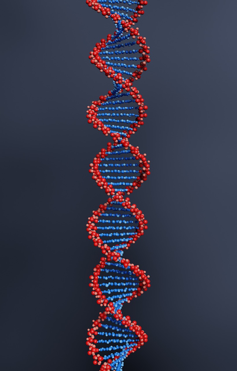 gene, dna, study-6527964.jpg